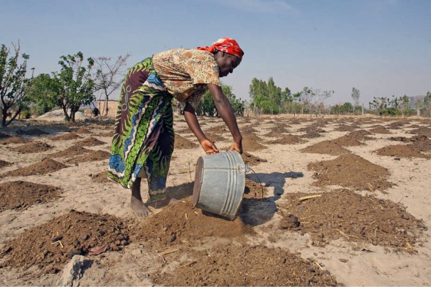 07-28-fao-drought