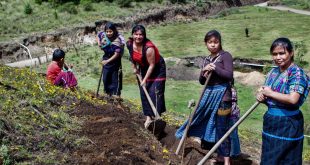 Mujeres agricultoras en Guatemala