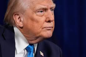 Donald Trump estaría dispuesto a comprar Groenlandia, aunque la acción  militar "siempre es una opción" | Internacional